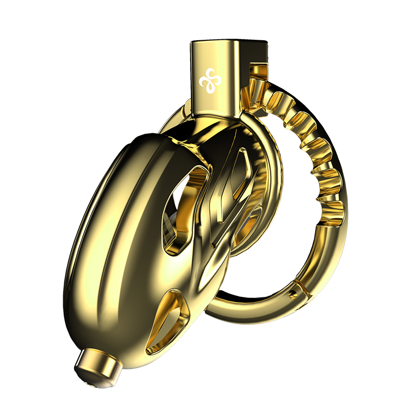 SEVANDA Metal Outlaw Urethral Sounding Chastity Cage